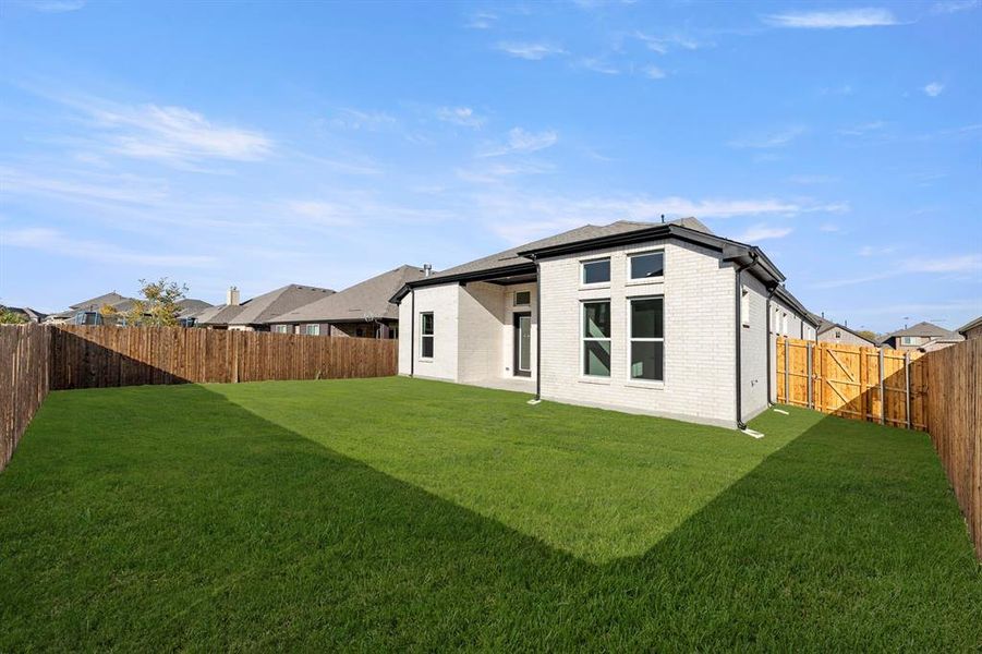 26_27. 1201 Century Tree - Back (2)