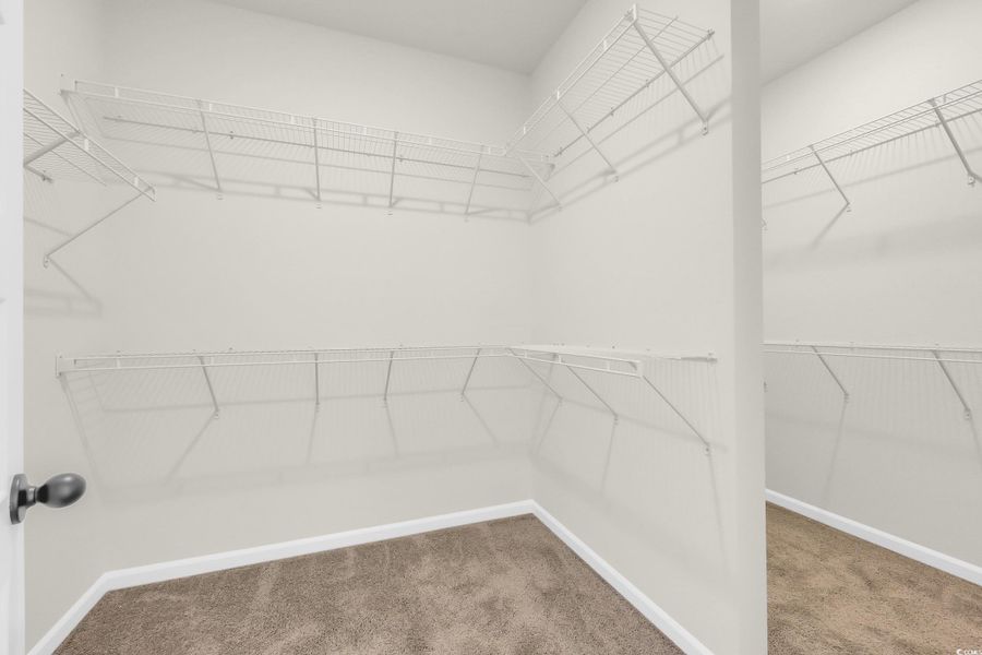 Spacious closet with light colored carpet