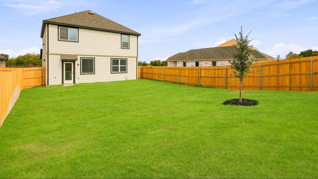 Backyard