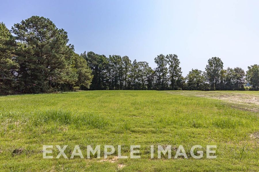 Image 33 representing the The Chestnut by Davidson Homes LLC in Wendell Ridge, Wendell, NC.