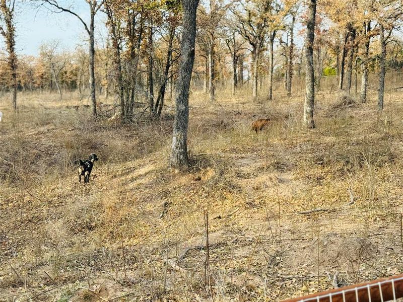 Natural landscape and outdoor views near in Hico (Image 23). Natural landscape and outdoor views near in Hico (Image 23).