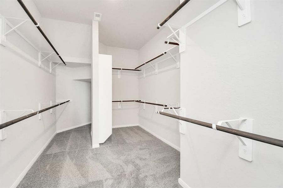 Primary walk-in closet with plush carpet and plenty of storage space.