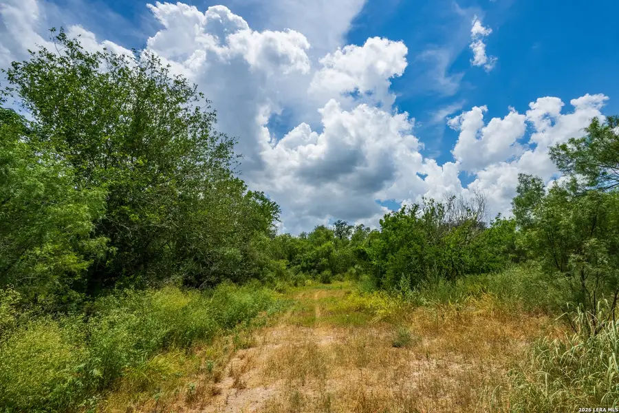 Natural landscape and outdoor views near in Crystal City (Image 8). Natural landscape and outdoor views near in Crystal City (Image 8).