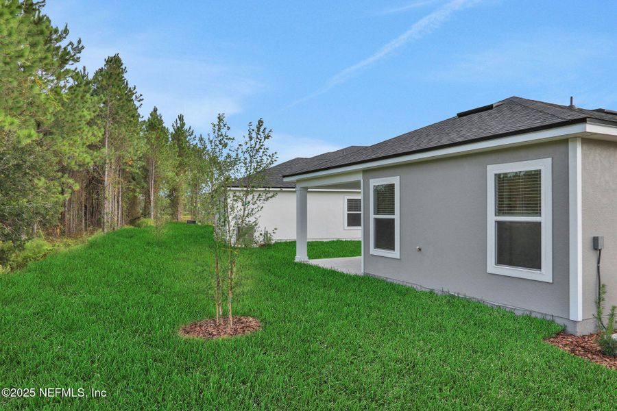 Exterior details and patio area of a home in Amberly, Green Cove Springs (Image 24).