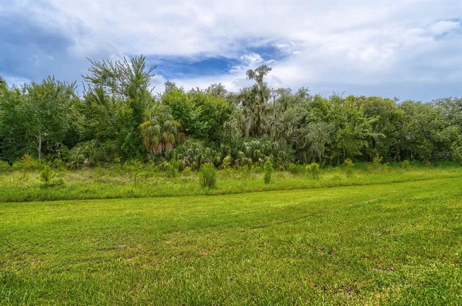 Natural landscape and outdoor views near Salt Meadows - Classic Series in Parrish (Image 30).