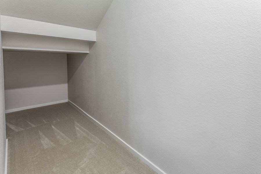 Spacious, unfurnished interior of a new home in Trailside, Timnath (Image 29).