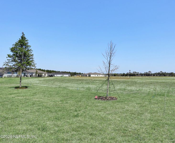 Natural landscape and outdoor views near  in St. Augustine (Image 15).