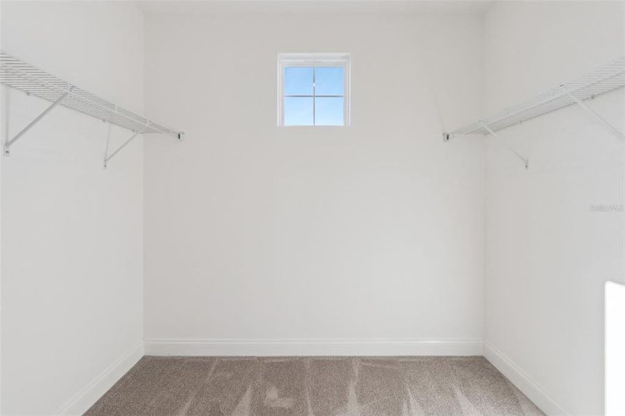 Spacious, unfurnished interior of a new home in Tamarack at Two Rivers, Zephyrhills (Image 19).