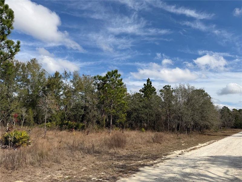 Natural landscape and outdoor views near  in Brooksville (Image 7).