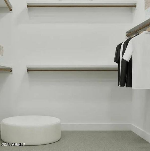 Owners Walk in Closet