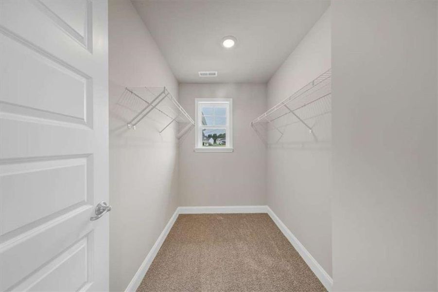 Spacious, unfurnished interior of a new home in Scarlett Place, Bowdon (Image 27).