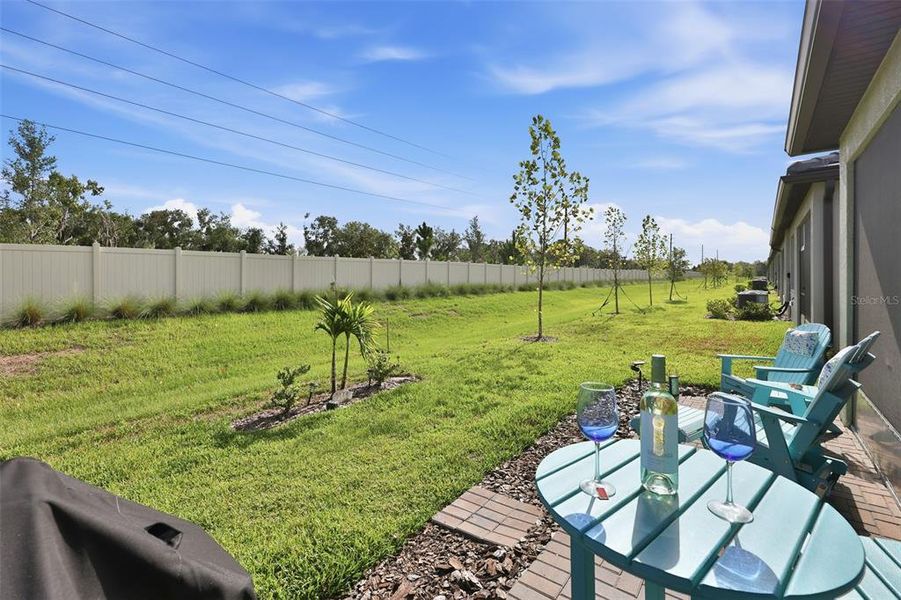 Exterior details and patio area of a home in Prosperity Lakes Active Adult, Parrish (Image 28).