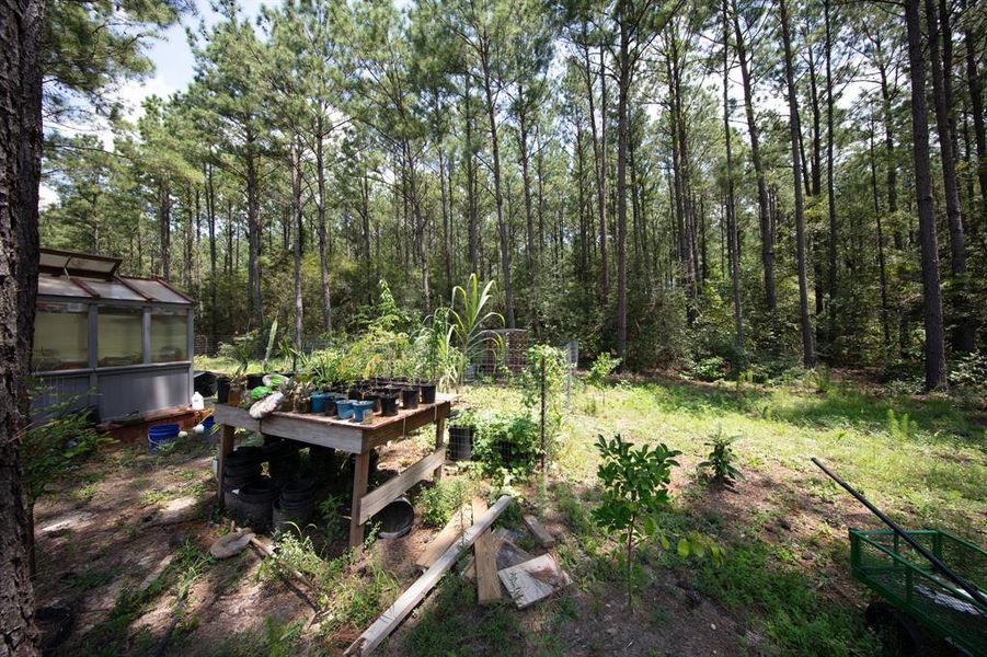 A serene woodland property featuring a greenhouse and garden area, surrounded by tall trees. Ideal for nature lovers and gardening enthusiasts seeking privacy and tranquility.