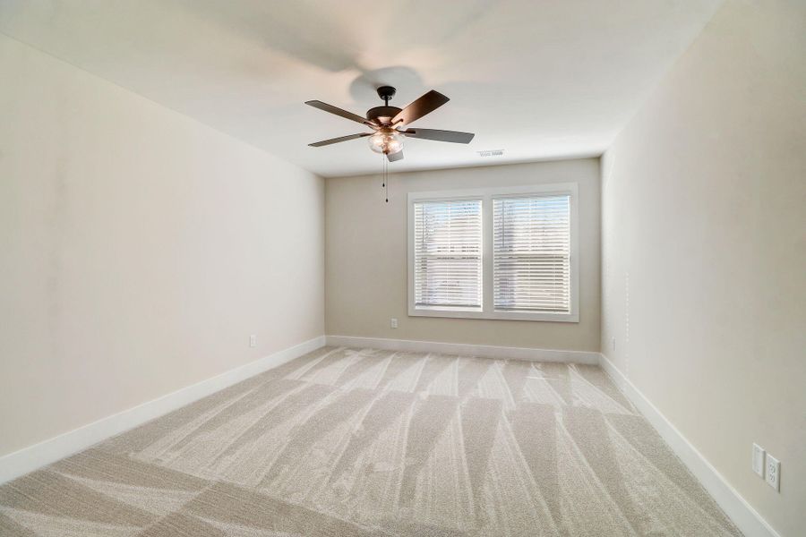 35-web-or-mls-Irish Setter St-033 35-web-or-mls-Irish Setter St-033