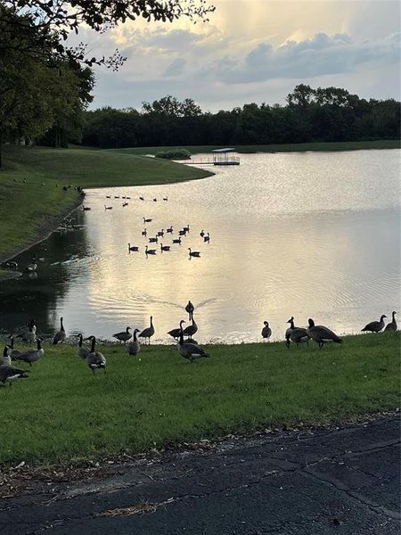 Natural landscape and outdoor views near in Sherman (Image 30). Natural landscape and outdoor views near in Sherman (Image 30).