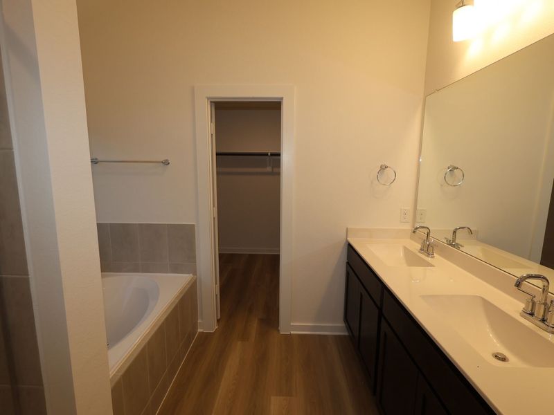 Owner's Bathroom