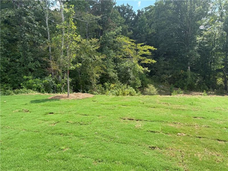 Natural landscape and outdoor views near Maple Village in Adairsville (Image 27). Natural landscape and outdoor views near Maple Village in Adairsville (Image 27).