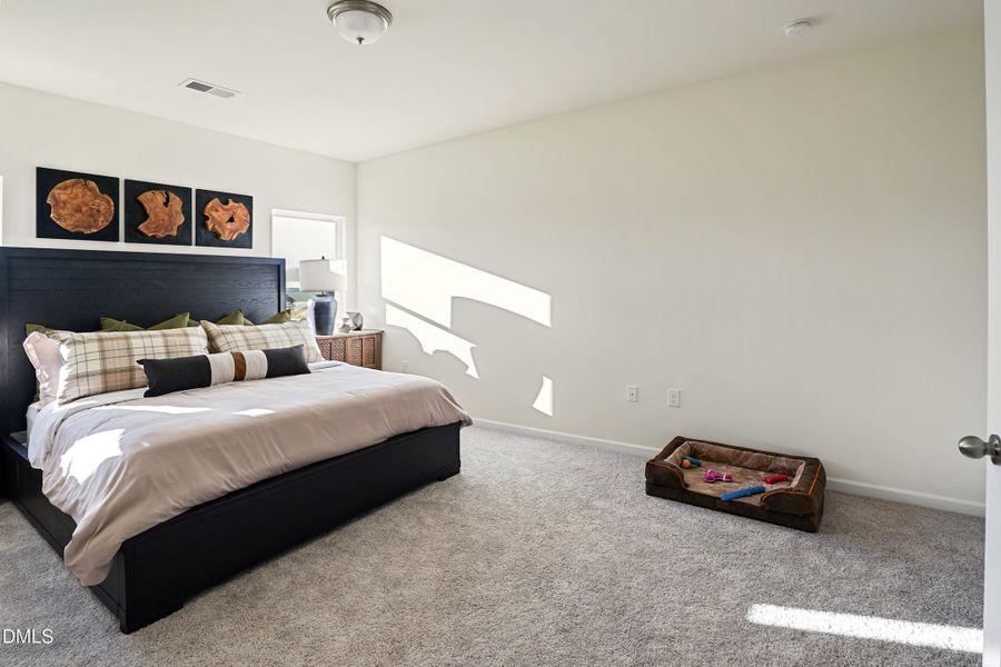 Owner's Suite Owner's Suite