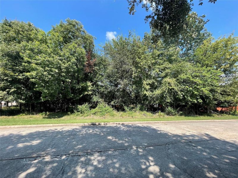 Natural landscape and outdoor views near Lake Conroe Area Homes in Montgomery (Image 22).
