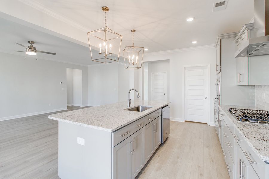 Furnished interior view inside a new home in Pebble Branch, Chapin (Image 9).