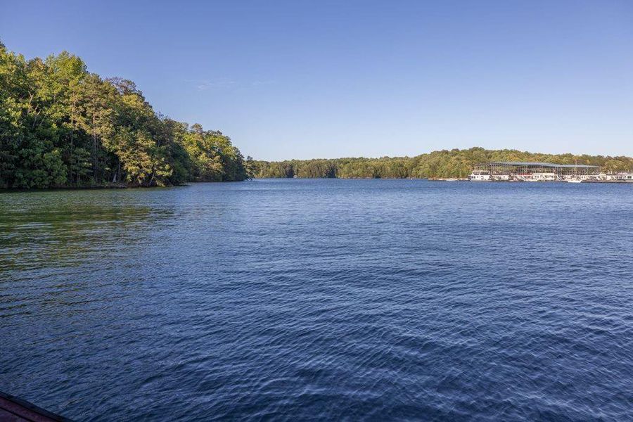 Natural landscape and outdoor views near White Post on Lake Lanier in Gainesville (Image 27).