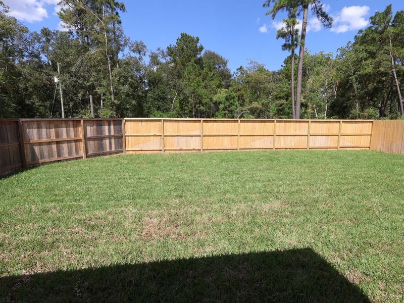 Exterior details and patio area of a home in Pinewood at Grand Texas, New Caney (Image 3).