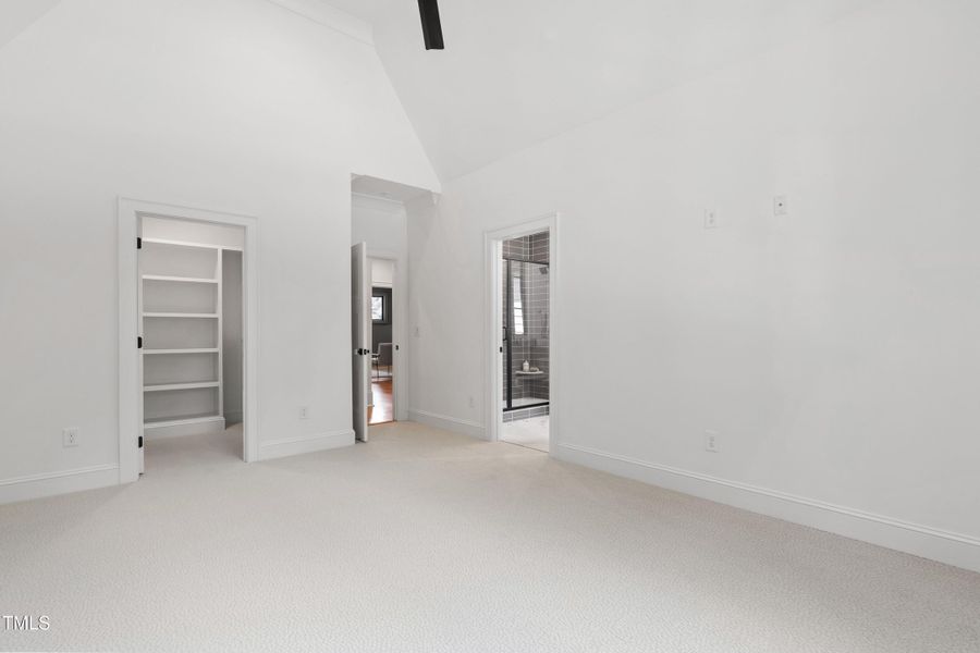 Tanbark (72) Tanbark (72)