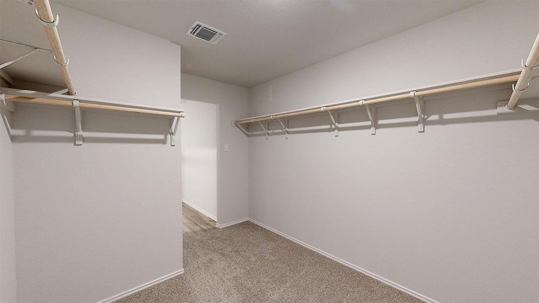 Walk in closet featuring light colored carpet