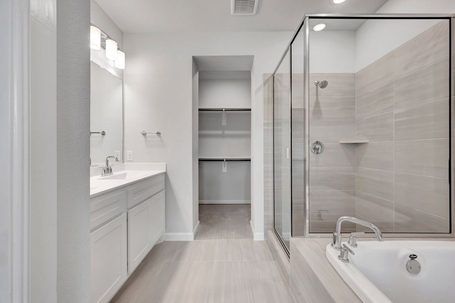 Owner's Bath