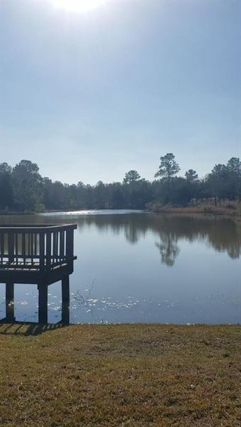 Pavilion picnic area near lake Pavilion picnic area near lake