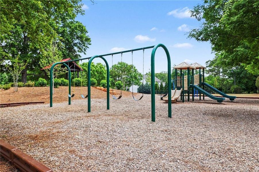 Community amenities in Carmichael Farms, Canton (Image 31).