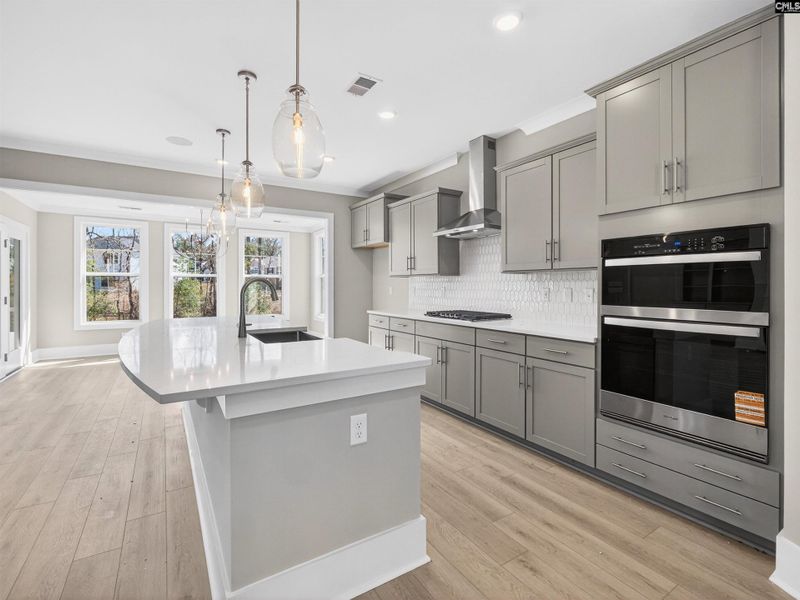 Furnished interior view inside a new home in Collins Cove, Chapin (Image 6).