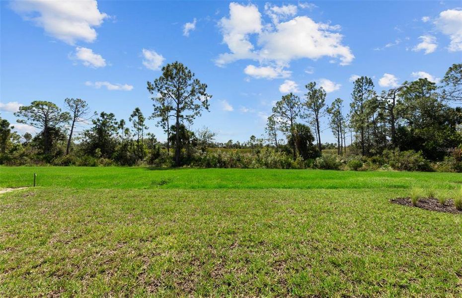 Natural landscape and outdoor views near Arbor Oaks in North Port (Image 27).
