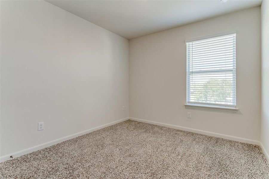 Empty room featuring carpet