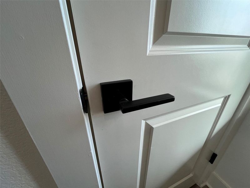 Black finishes throughout to include lever door handles