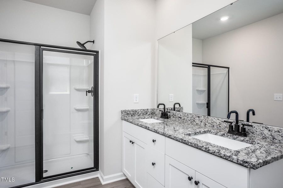 Southeast_Birch_L_016