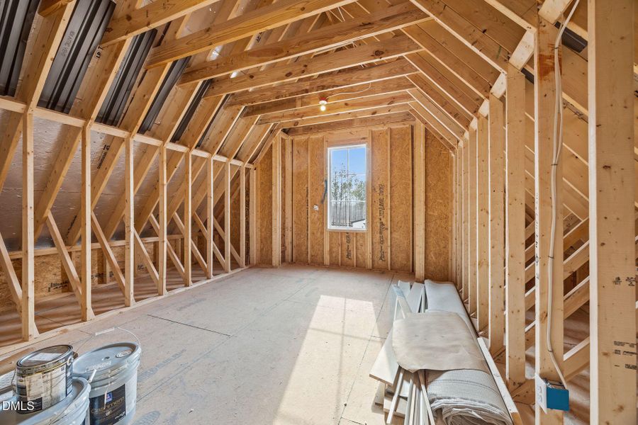 63-web-or-mls-IMG_6488