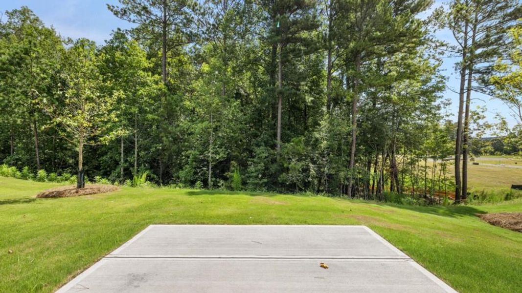 Natural landscape and outdoor views near Northwoods at Mirror Lake in Villa Rica (Image 48).