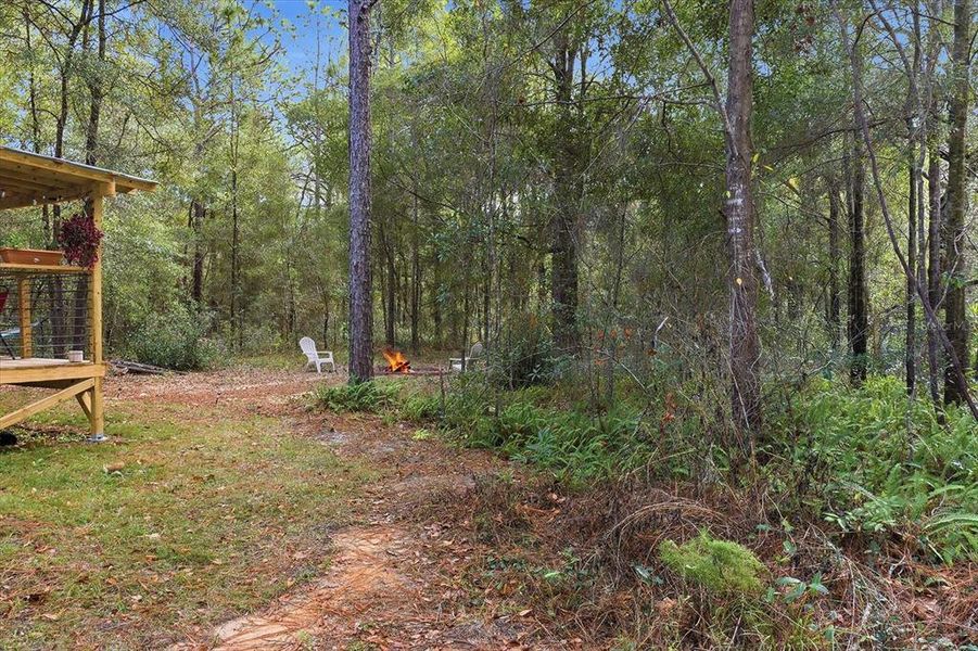 Natural landscape and outdoor views near  in Dunnellon (Image 34).