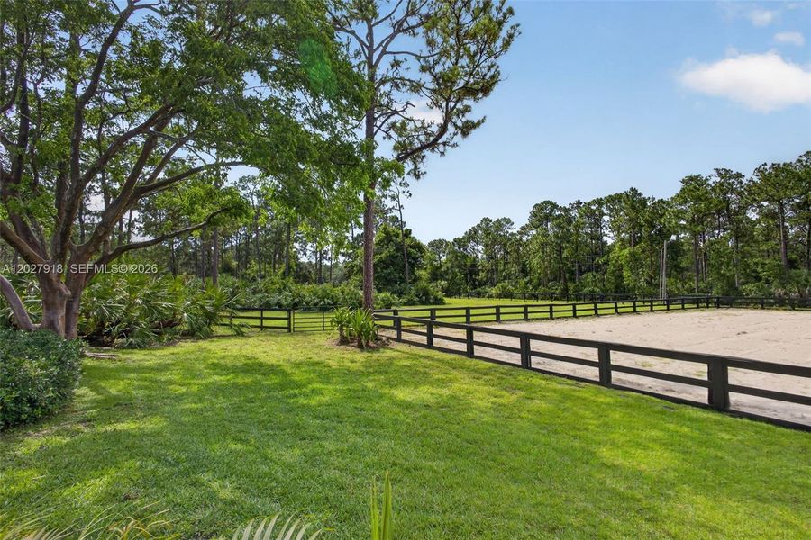 Natural landscape and outdoor views near  in Palm Beach Gardens (Image 93).