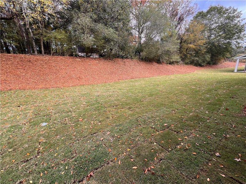 Natural landscape and outdoor views near  in Jefferson (Image 74).