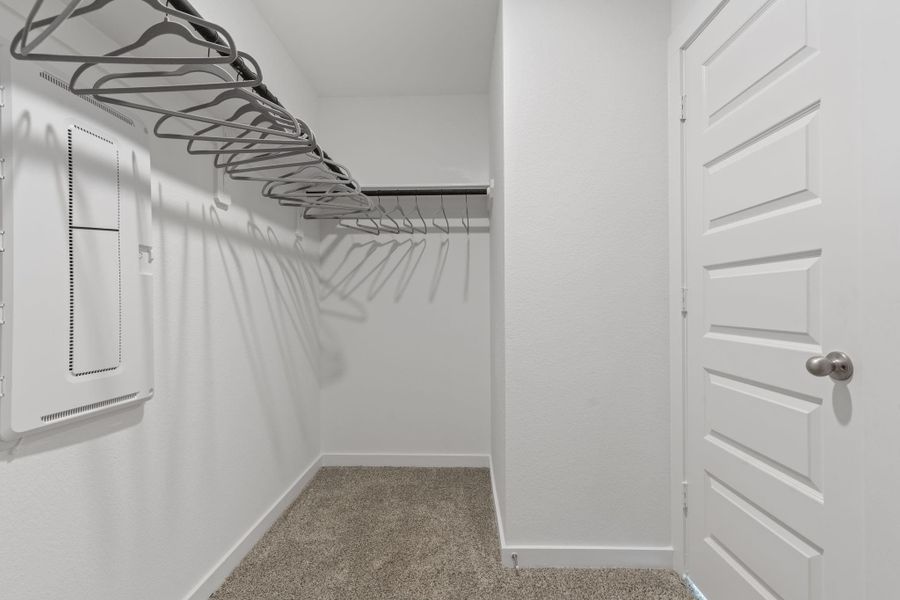 representative photo