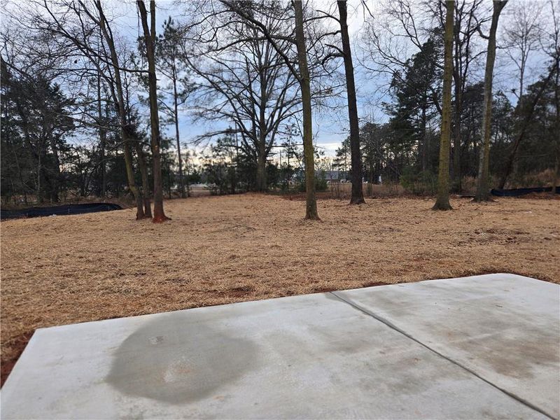 Natural landscape and outdoor views near  in Lavonia (Image 26).