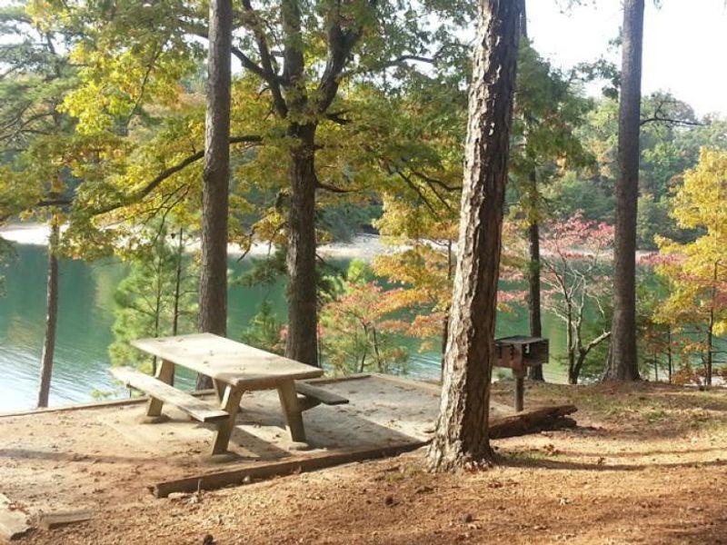 Natural landscape and outdoor views near in Gainesville (Image 67). Natural landscape and outdoor views near in Gainesville (Image 67).