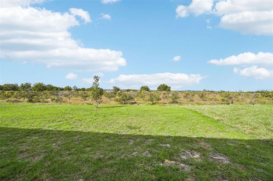 Natural landscape and outdoor views near Hamilton Bluff - Signature Series in Lake Hamilton (Image 38).
