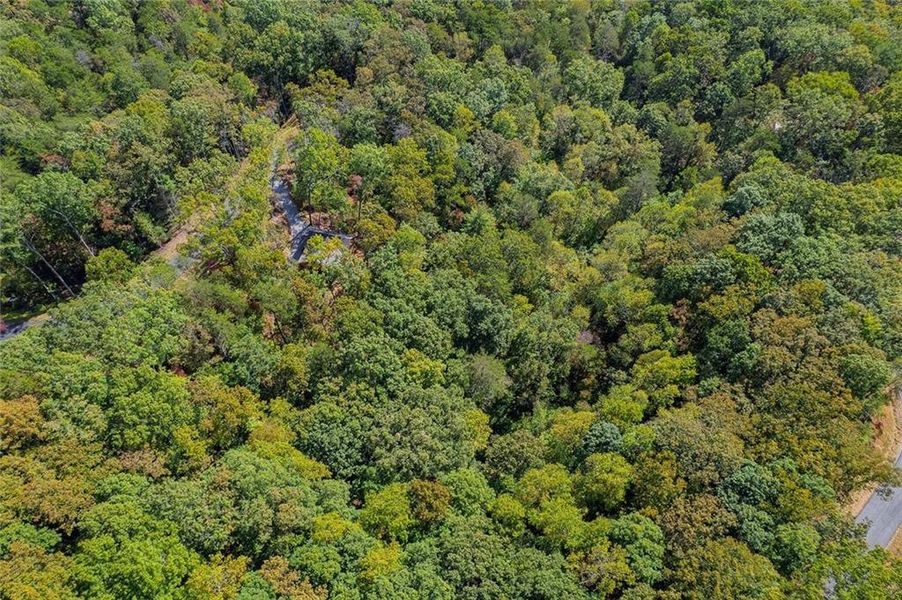 Natural landscape and outdoor views near  in Cherry Log (Image 27).