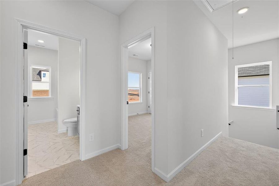 Spacious, unfurnished interior of a new home in Kingston Park, Kingston (Image 28).