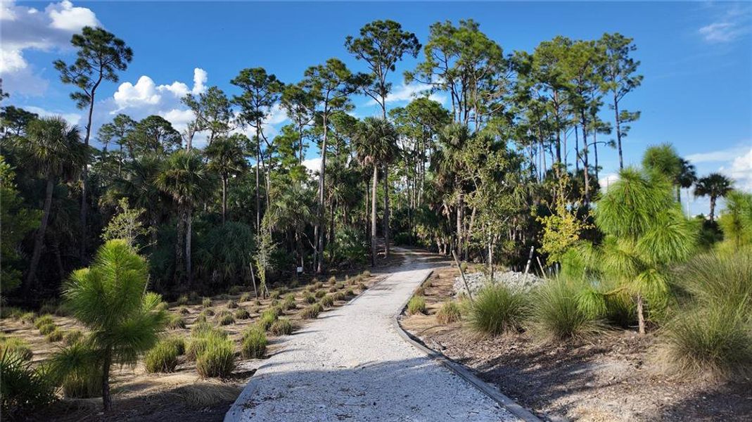 Natural landscape and outdoor views near Tuckers Cove in Punta Gorda (Image 36). Natural landscape and outdoor views near Tuckers Cove in Punta Gorda (Image 36).