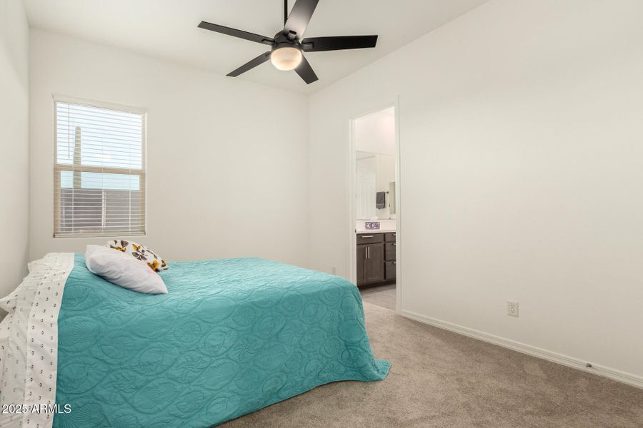 27 - Steed Ridge 13626