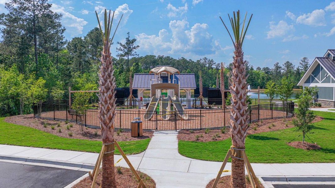 Community amenities in The Palms at Indigo Preserve Townhomes, Leland (Image 34).